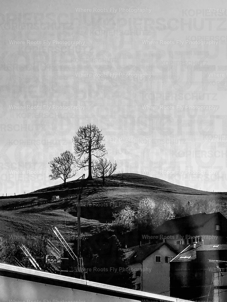 PSX_20231029_214544 | mtkfoto_ - Realisiert mit Pictrs.com