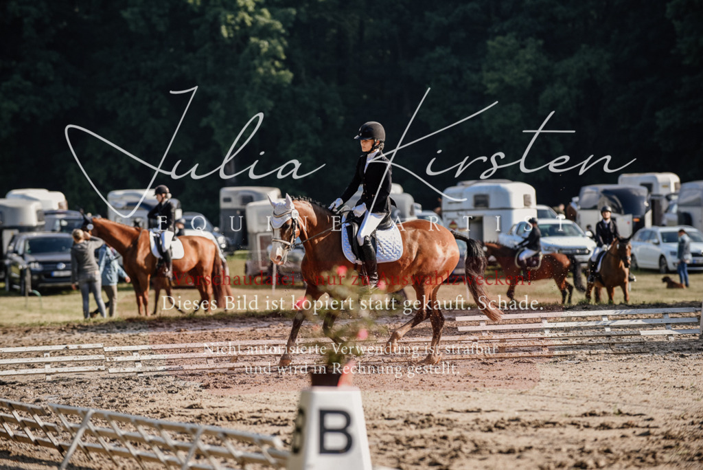 DSC_7876 | Pferde- und Turnierfotografie in Westsachsen. Pferdeportraits, Auftragszeichnungen und intuitive Kunst.