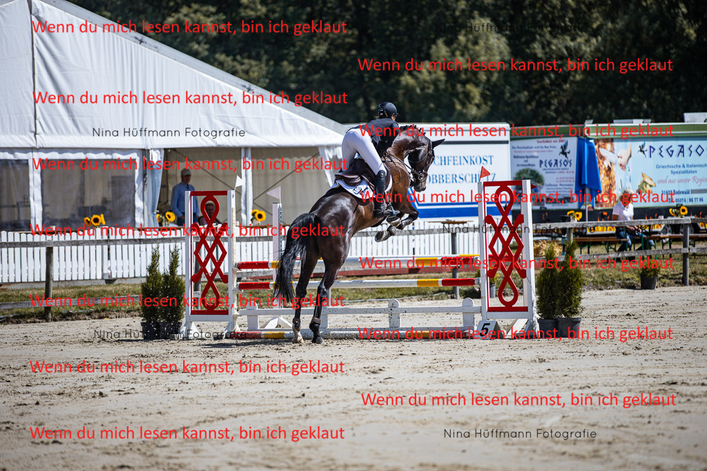 BK1A5019 | Turnierbilder Turnierfotos Nina Hüffmann Turnierfotografie Pferdefotografie Tierzeichnung Haustierzeichnung Pferdezeichnung Hundezeichnung Videograf  - Realisiert mit Pictrs.com