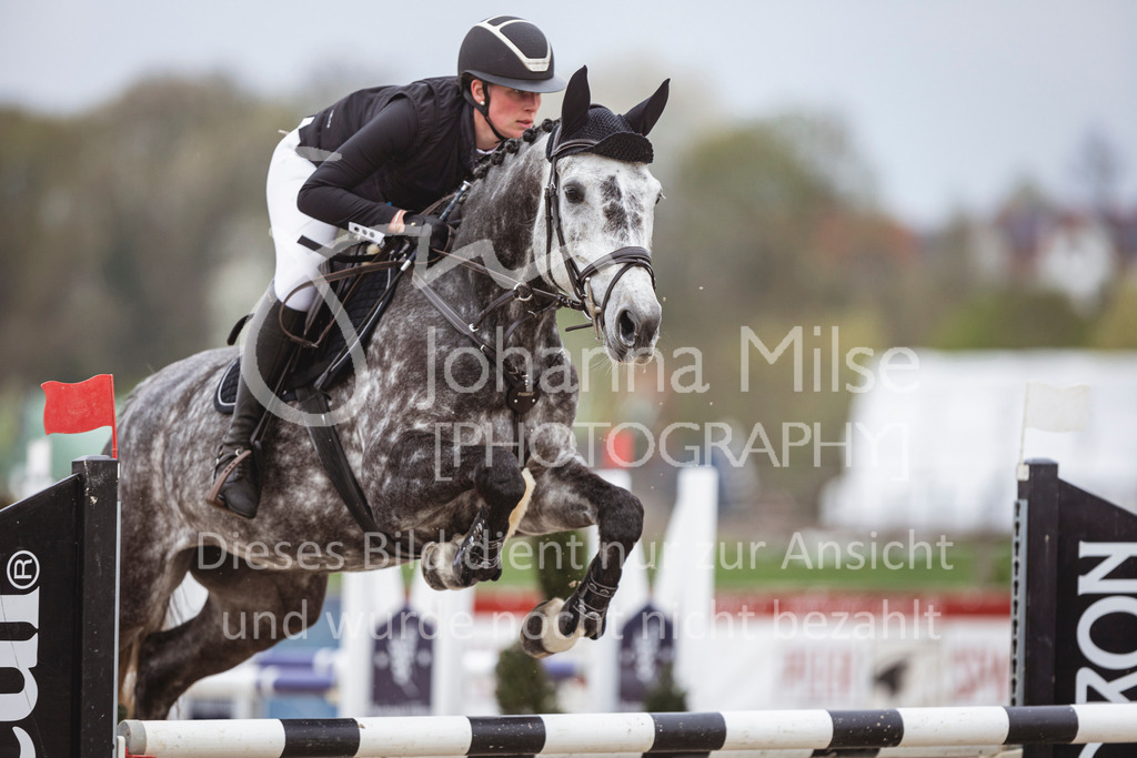 250417_Springpferde-L1-252 | Deine schönsten Turniermomente als professionelle Fotos! Entdecke hochwertige Pferdesport-Fotografie im Online-Shop. Jetzt Fotos finden & bestellen!