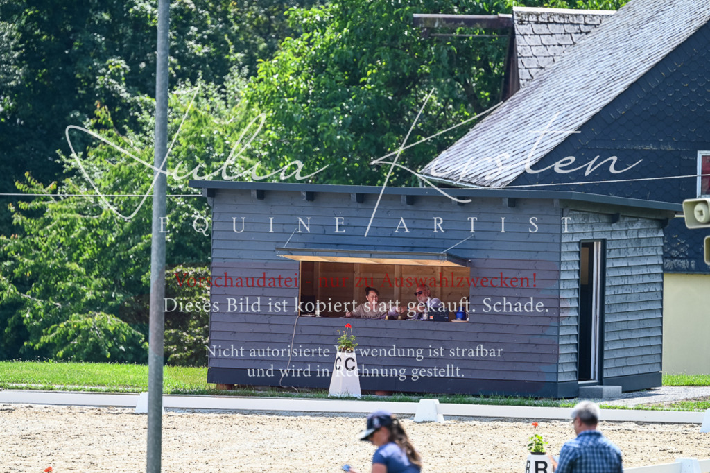 DSC_2770 | Pferde- und Turnierfotografie in Westsachsen. Pferdeportraits, Auftragszeichnungen und intuitive Kunst.