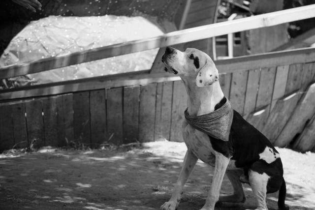 006-Ozora-_XP32400 | blende43