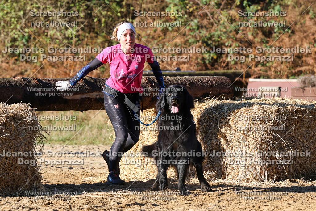Dog Paparazzi - Strongdog 10-25-1648 | Dog Paparazzi Jeanette Grottendiek Fotografie & Videografie - Realisiert mit Pictrs.com