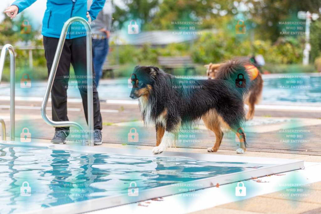 _HP_6052_1000o | HetPix, HetPix Fotodesign, Fotografie, Fotodesign, Webshop, Sportfotografie, Portraitfotografie, Onlineshop, Sportfotografie, Polch, Motorsportfotografie, Eventfotografie