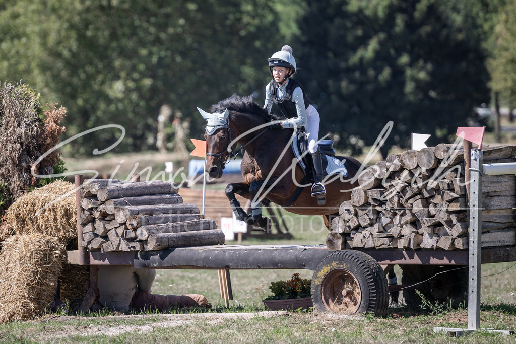20260906-_3LI3496 | Tierfotografie Pferde, Hunde, Katzen, Haustiere.
Turnierfotografie Reitturniere, Reiten, Springreiten, Dressur in Hanau, dem Main-Kinzig-Kreis und dem Rhein-Main- Gebiet um Frankfurt