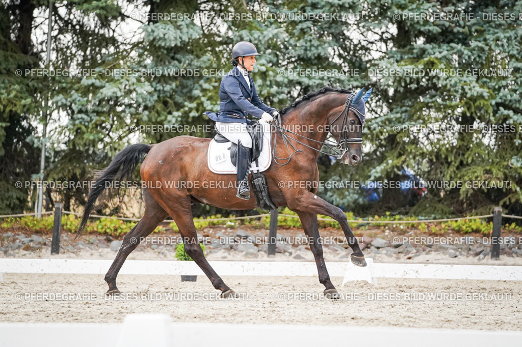 DSC09585 | Pferdegrafie