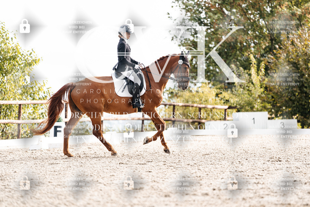 CK900646 | Turnierfotografie Pferdefotografie Trier Rheinland-Pfalz Pferdesport Reitsport Tierfotografie Sportfotografie Pferdevideo Pferdevideografie Equestrianvideography equestrianphotography  - Realisiert mit Pictrs.com