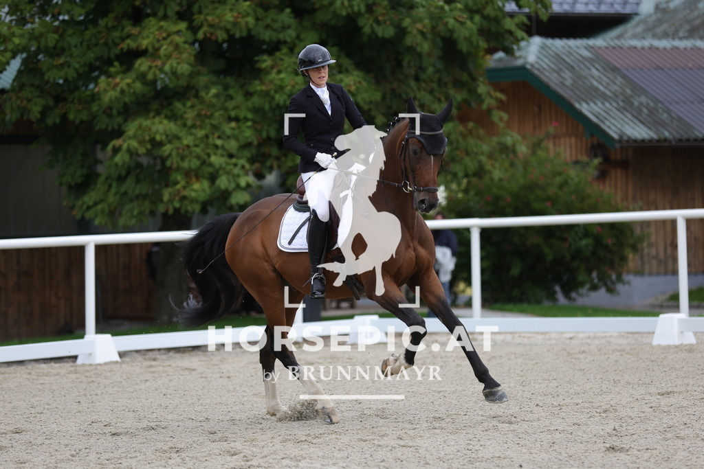 0P6A8072 | Willkommen bei Brunnmayr - Design & Fotografie – Ihrem Spezialisten für Reitturniere und Pferdeveranstaltungen in Oberösterreich, Salzburg und Bayern! Seit über 17 Jahren sind wir leidenschaftlich dabei.