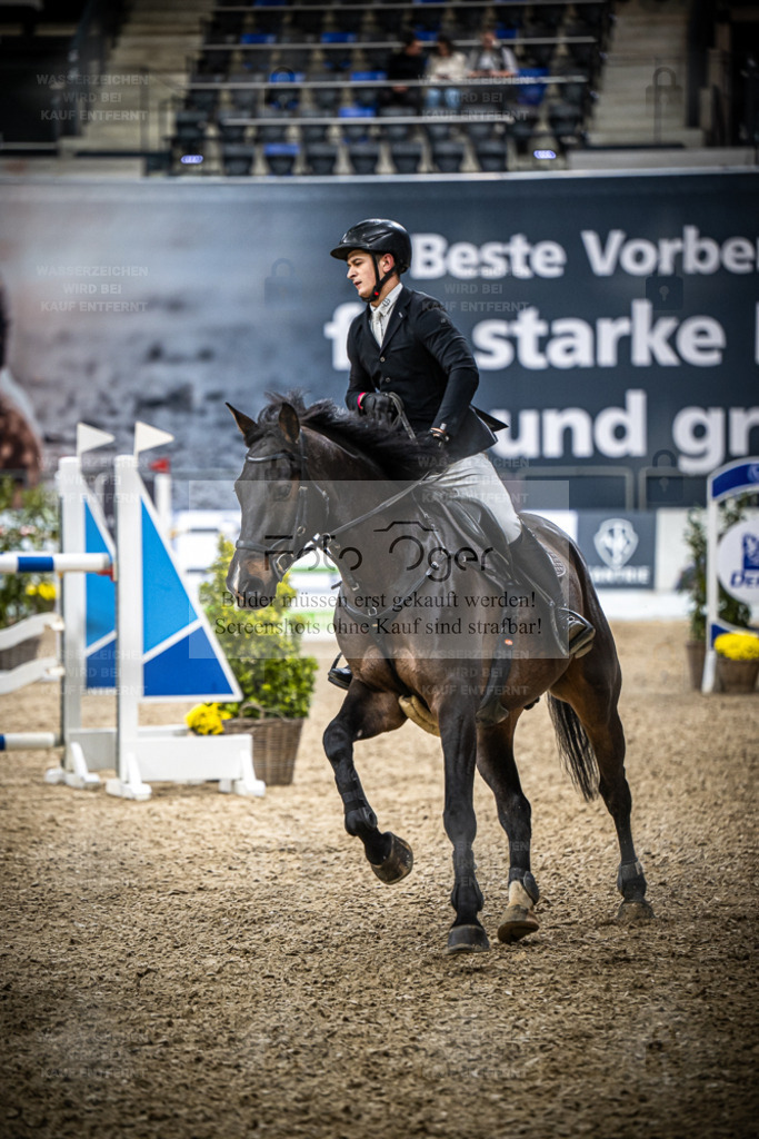 DOS_2757 | Entdecke hochwertige Reitturnierfotos von Foto Oger. Professionell, emotional und authentisch – jetzt Lieblingsmomente im Shop bestellen. - Realisiert mit Pictrs.com