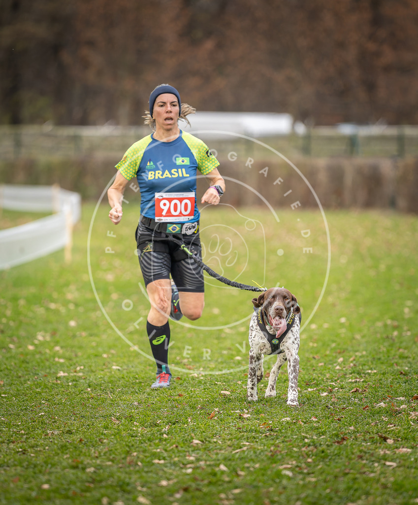 CaniXpix_DV3A6492 | Hundefotografie, Tierfotograf, Pfotenfotografie, Fotoshooting Hund, Hunde Portrait, Hundesport, Hundeportraits, Heideshooting, Hunde, Sportfotograf, Hundefotograf, Turnierhundsport, THS,  - Realisiert mit Pictrs.com
