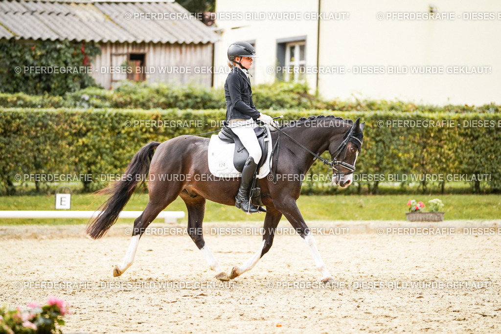 DSC00212 | Pferdegrafie