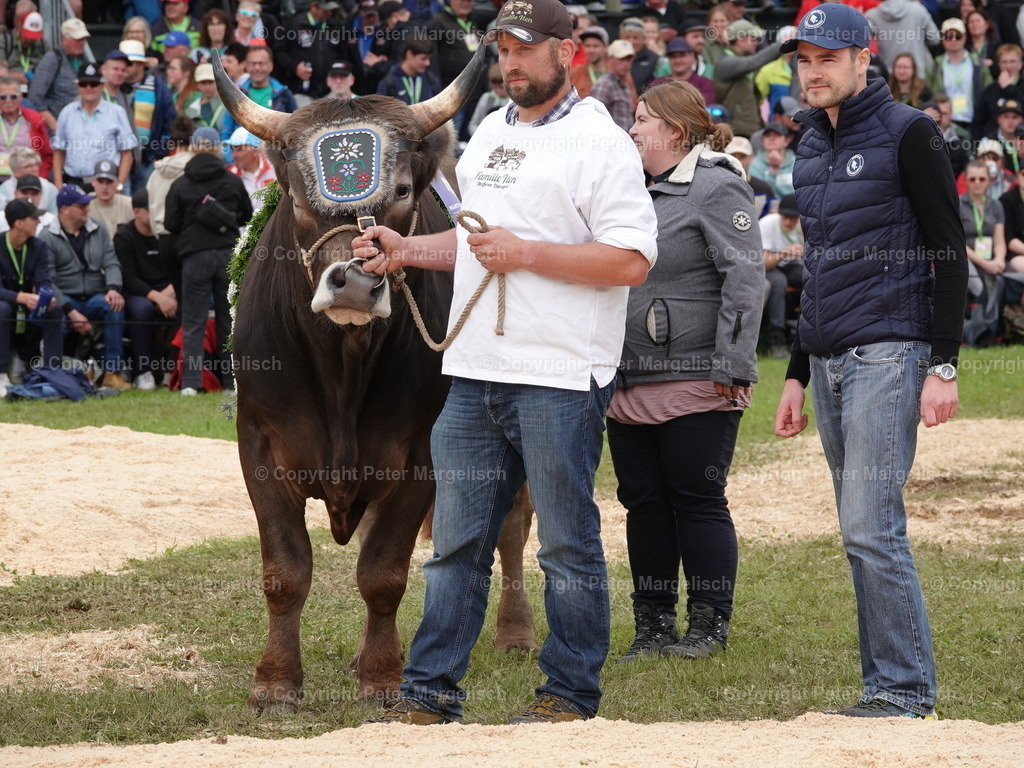 DSC08132 | Schwingen - Realisiert mit Pictrs.com