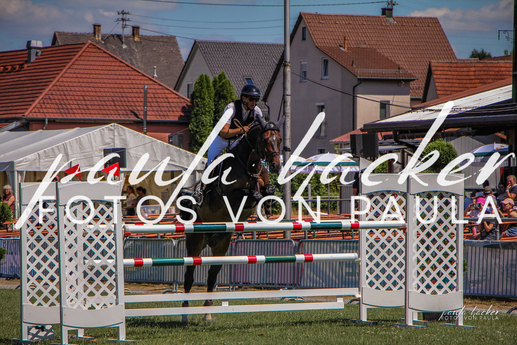 IMG_9731 | Erleben Sie dynamische Sport- und emotionale Tierfotografie in Süddeutschland mit Fotos von Paula. Spezialisiert auf Pferde- und Hundefotografie sowie Sportevents. Kontaktieren Sie mich für einzigartige und ausdrucksstarke Bilder Ihrer besonderen Momente. - Realisiert mit Pictrs.com