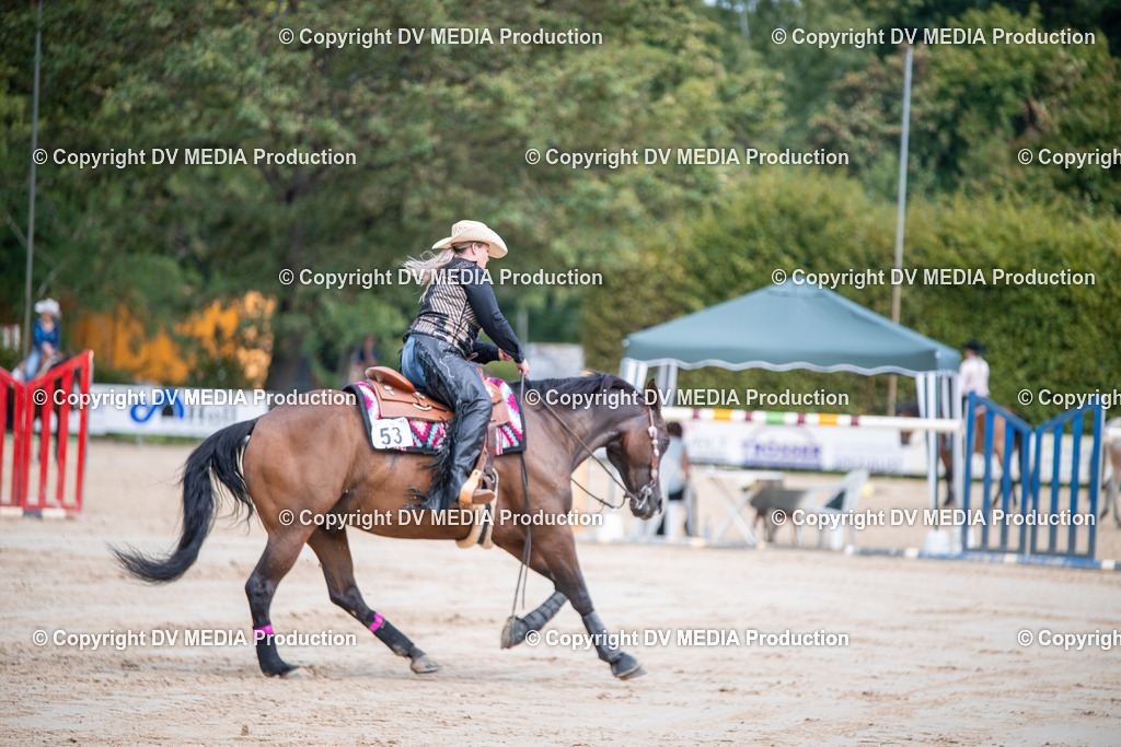 ZS3_5333 | dv-media-shop - Realisiert mit Pictrs.com