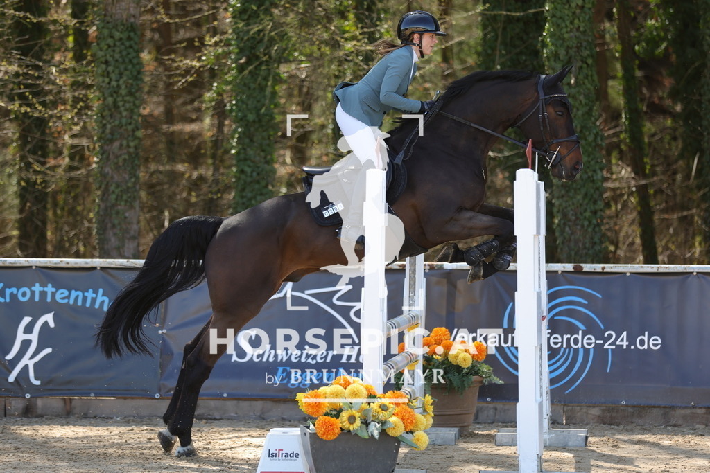 0P6A8019 | Willkommen bei Brunnmayr - Design & Fotografie – Ihrem Spezialisten für Reitturniere und Pferdeveranstaltungen in Oberösterreich, Salzburg und Bayern! Seit über 17 Jahren sind wir leidenschaftlich dabei.