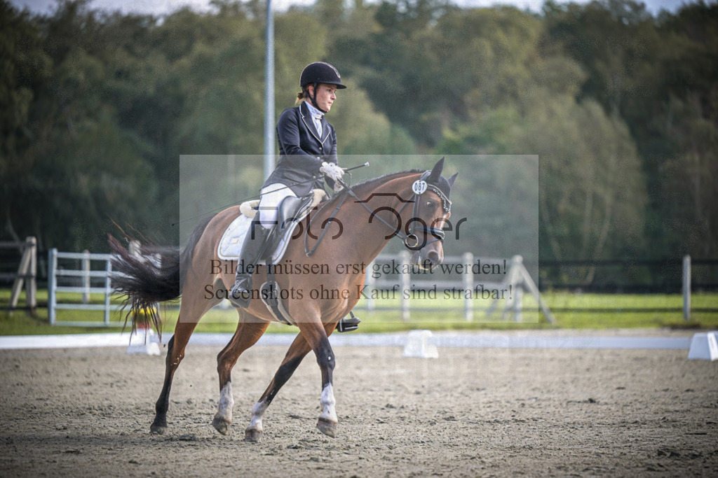 DOS_B738 | Entdecke hochwertige Reitturnierfotos von Foto Oger. Professionell, emotional und authentisch – jetzt Lieblingsmomente im Shop bestellen.Deutschlandweite Turnierfotografie. - Realisiert mit Pictrs.com