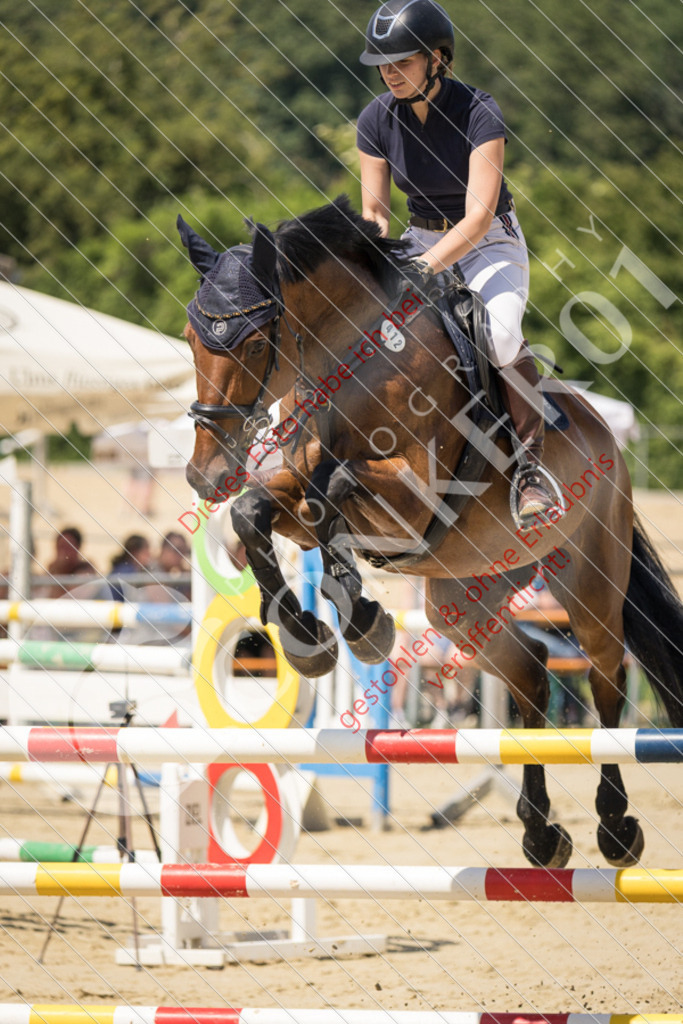 IMG_9316 | Sport-, Event- und Tierfotos in Profiqualität. Einfach auswählen, bestellen und herunterladen. Dein Moment – perfekt festgehalten.