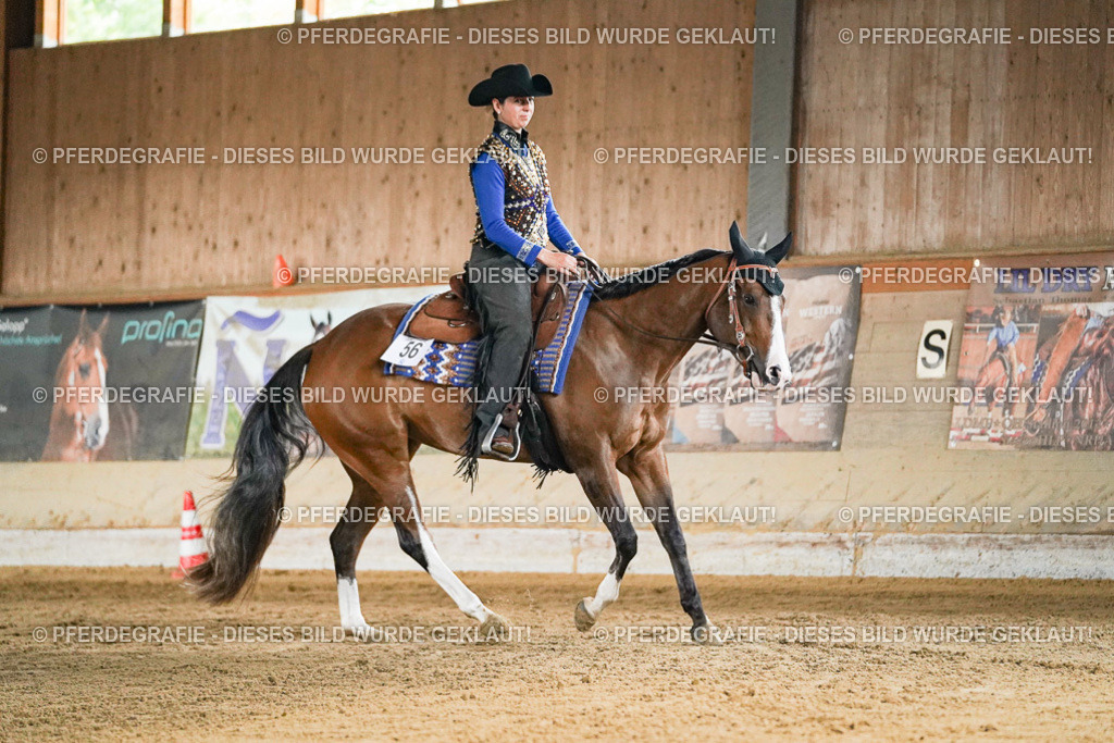 DSC05632 | Pferdegrafie