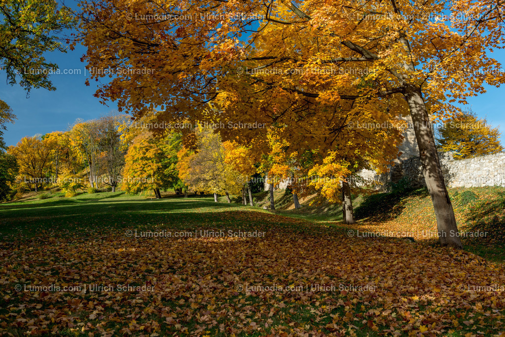 100494-3931 - Barockgarten Blankenburg | max. Bildgröße A2 | 300dpi - Realisiert mit Pictrs.com