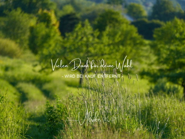 IMG_6396 | Fotografie für »mehr« Persönlichkeit ... von Anfang an - authentisch natürlich emotional - Geburt, Kinder und Familie, Entrepreneure, Kreative, Kamera-Scheue, Interessierte. Mit Empathie und ohne Posen erstelle ich Bilder mit "Wieder-Erkennungs-Gefühl".