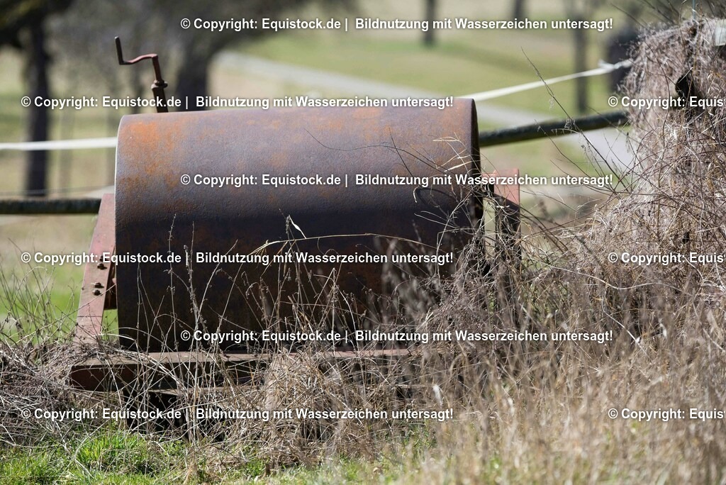 20170312_Walze_0001 | equistock