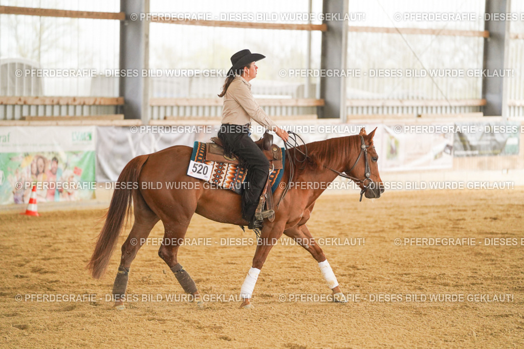 DSC00125 | Pferdegrafie