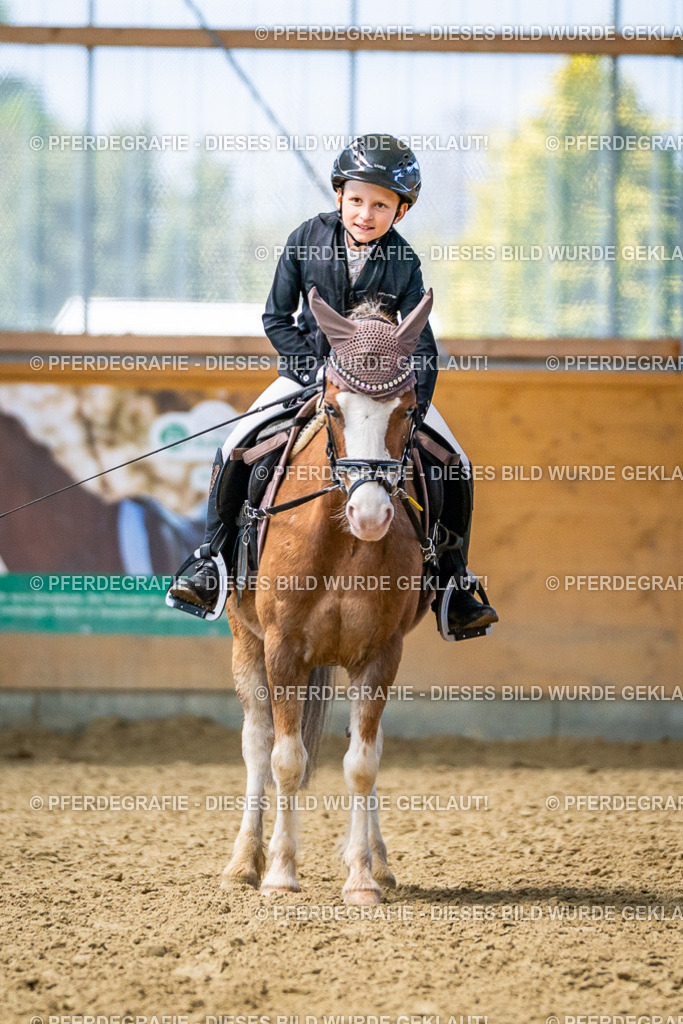 DSC03056 | Pferdegrafie