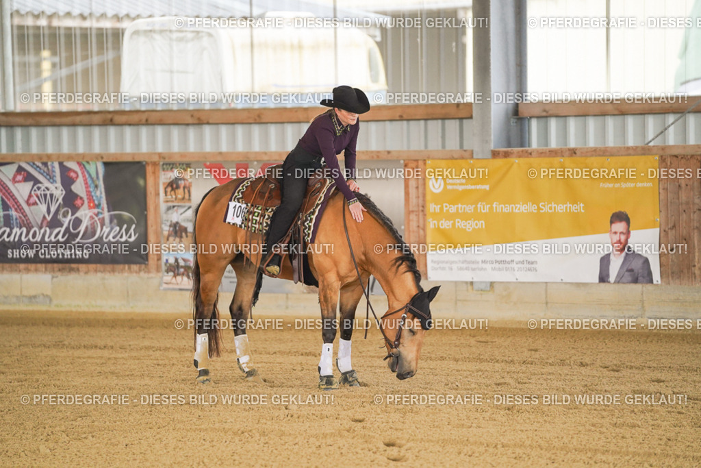 DSC00550 | Pferdegrafie