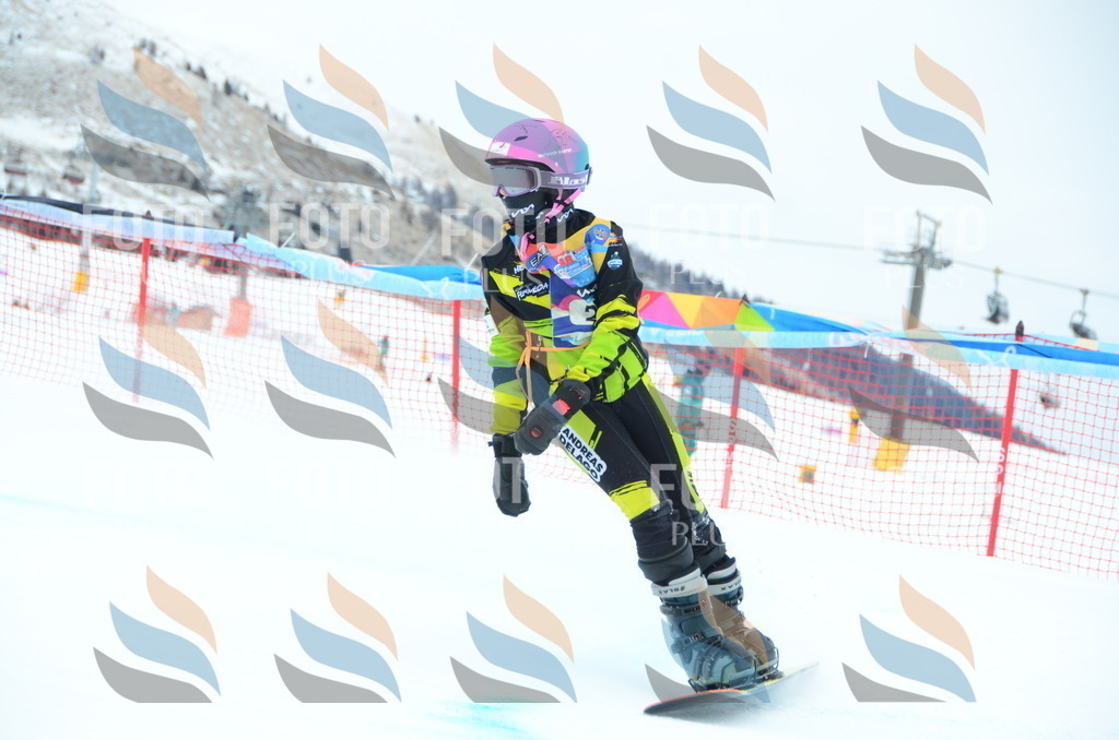 DSC_2286 | holidayphoto