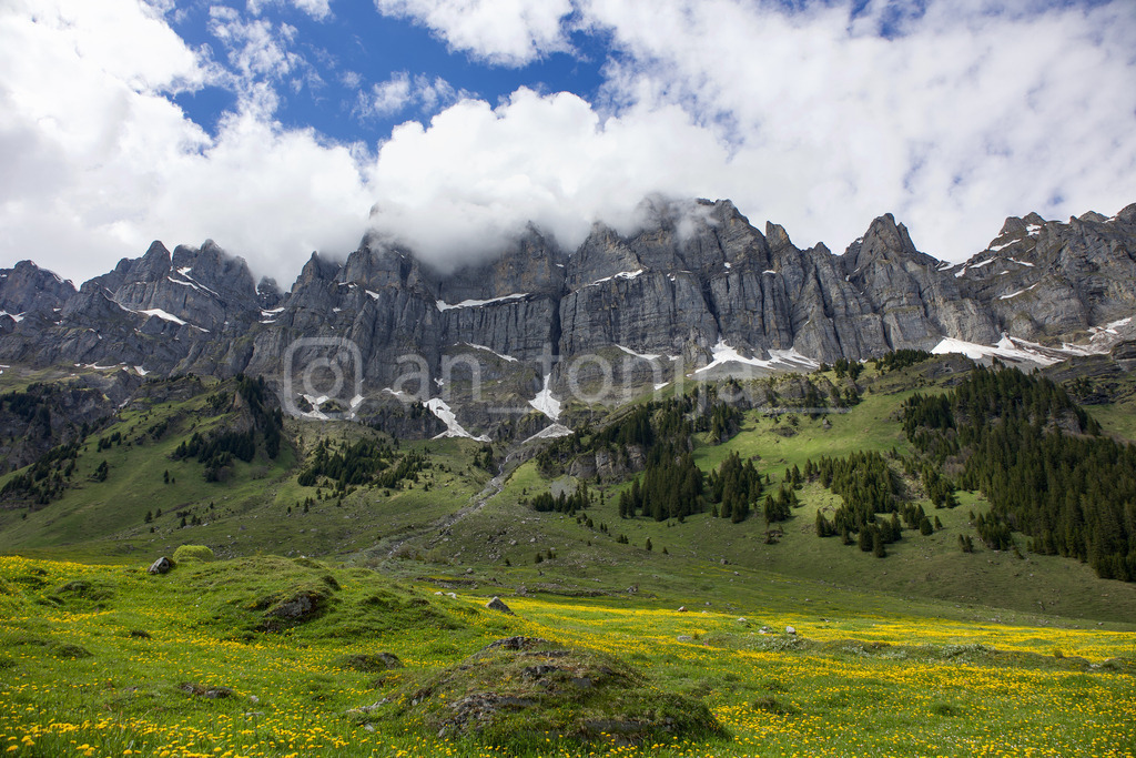 A.Trupina-242 | antonija-trupina - Realisiert mit Pictrs.com