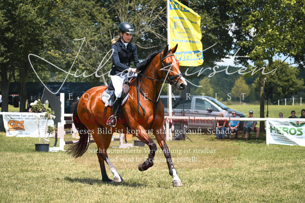 DSC_9283 | Pferde- und Turnierfotografie in Westsachsen. Pferdeportraits, Auftragszeichnungen und intuitive Kunst.
