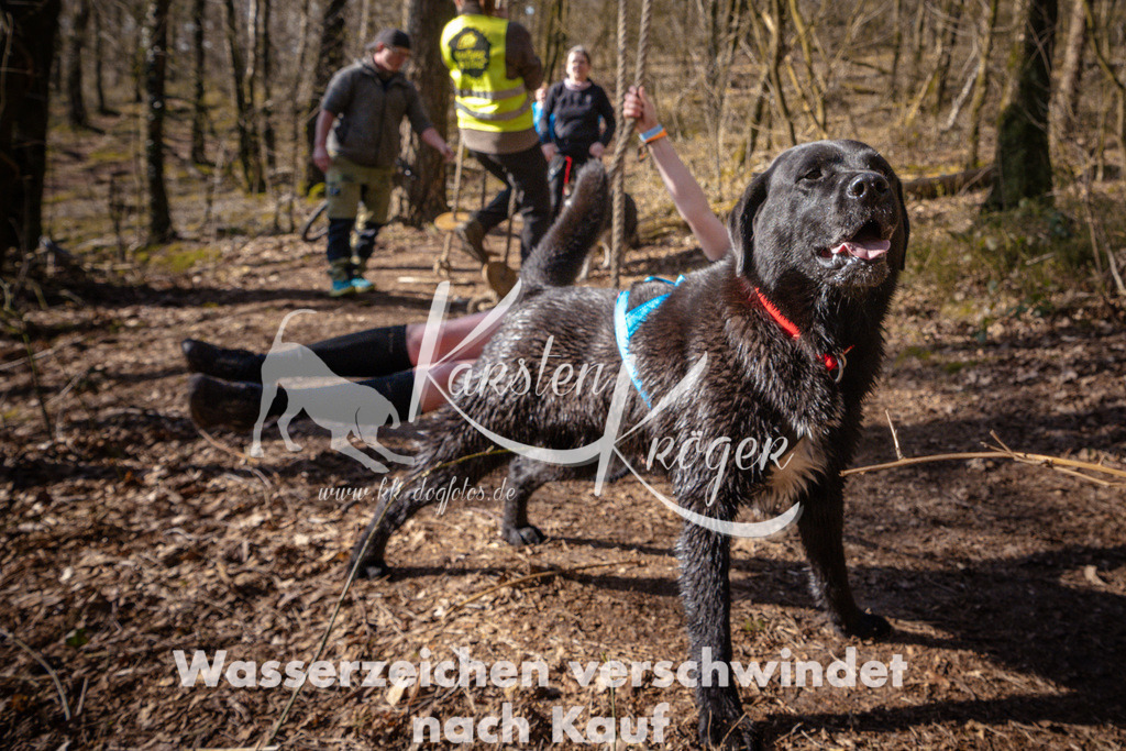 0930_ZZ98346 | kk-dogfotos