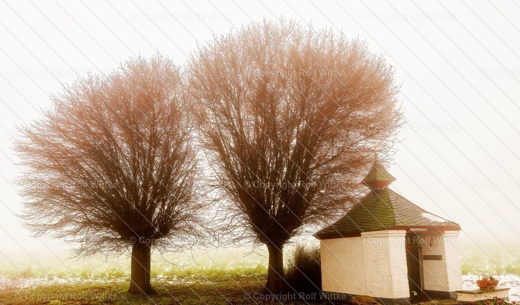 Baum1.1 | Rolf Wittke  - Realisiert mit Pictrs.com