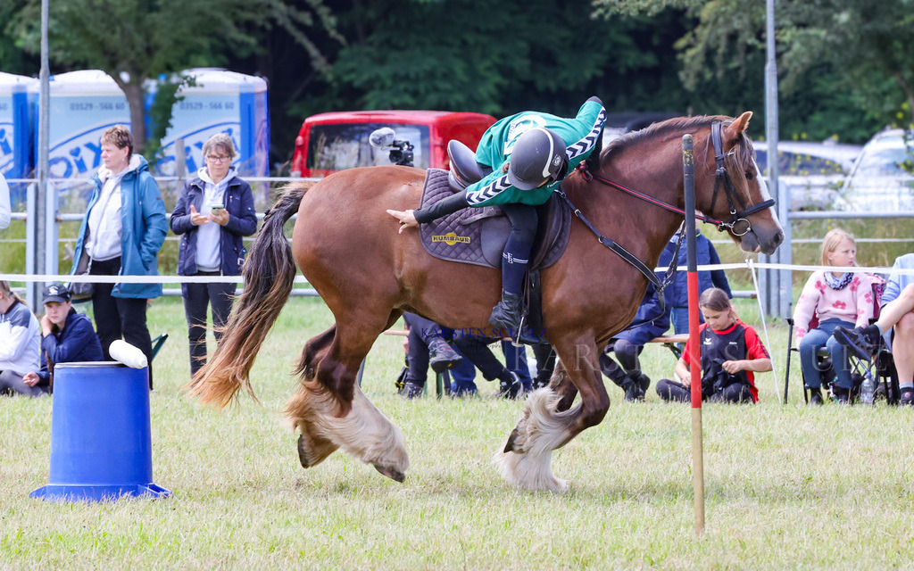 1B3A2374 | Reitsport Reiten