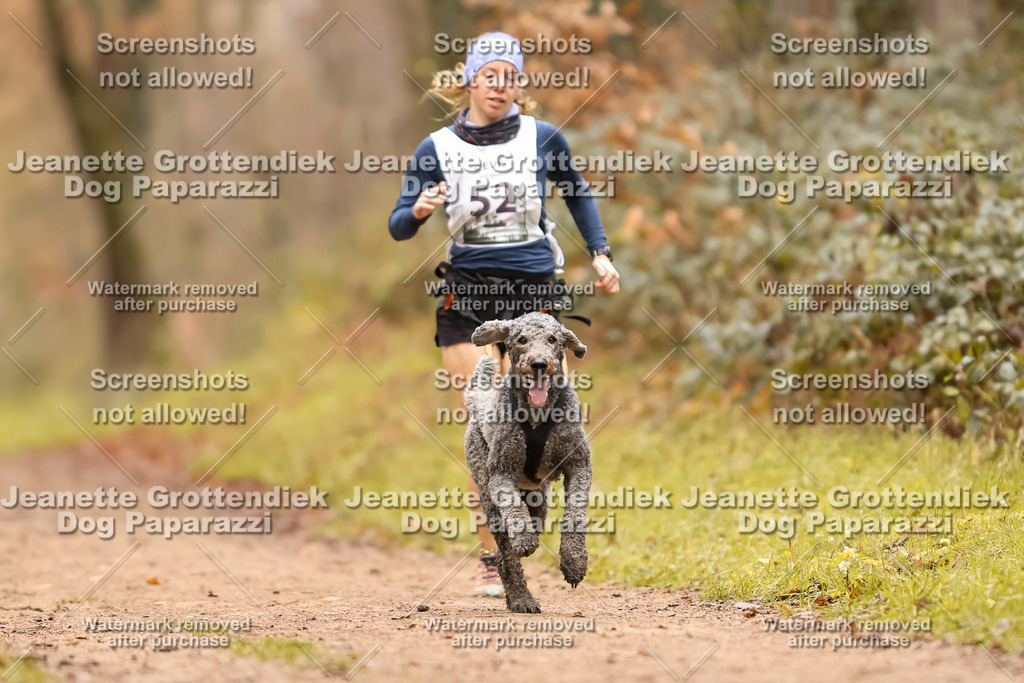 Dog Paparazzi - Speedhunter Mannheim  2025-144 | Dog Paparazzi Jeanette Grottendiek Fotografie & Videografie