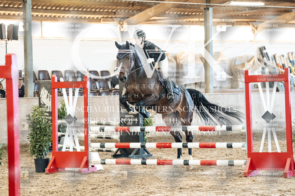 CK904569 | Turnierfotografie Pferdefotografie Trier Rheinland-Pfalz Pferdesport Reitsport Tierfotografie Sportfotografie Pferdevideo Pferdevideografie Equestrianvideography equestrianphotography  - Realisiert mit Pictrs.com