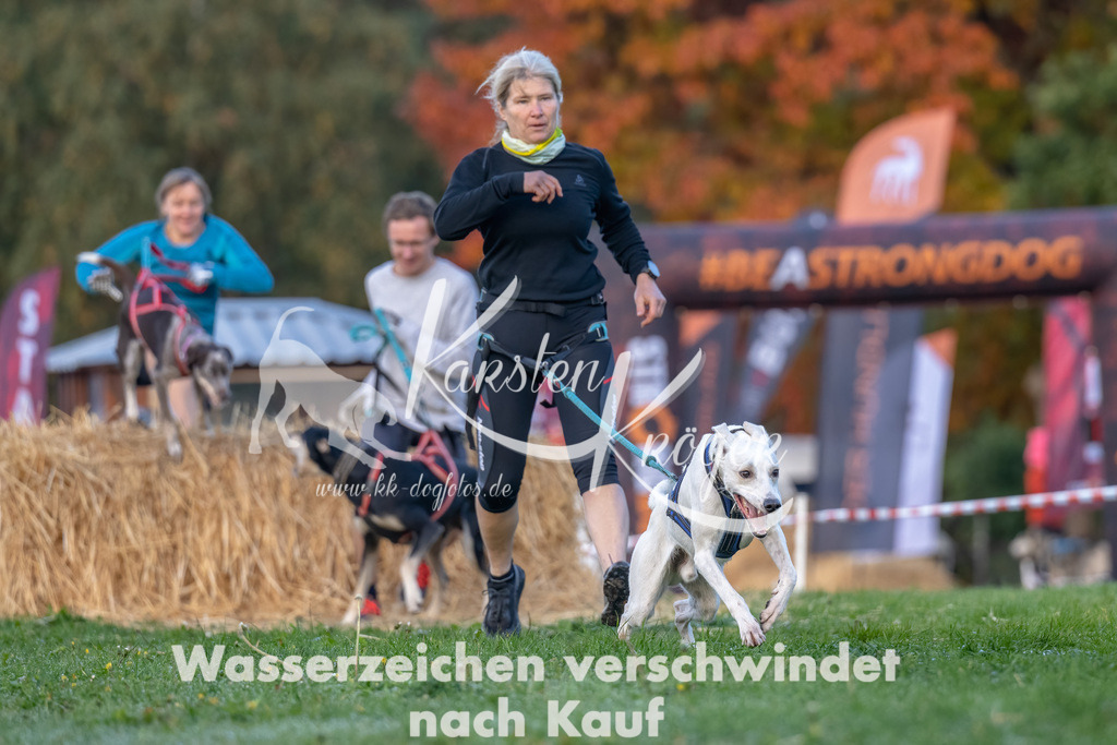 0848_ZZ91356-Bearbeitet | kk-dogfotos