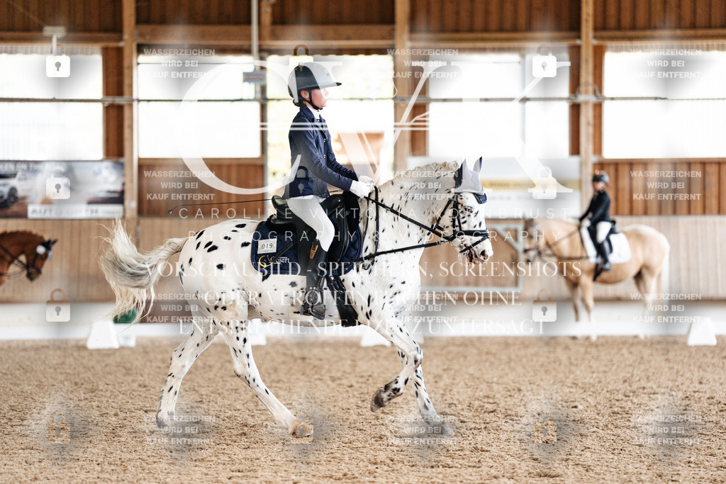 CK900075 | Turnierfotografie Pferdefotografie Trier Rheinland-Pfalz Pferdesport Reitsport Tierfotografie Sportfotografie Pferdevideo Pferdevideografie Equestrianvideography equestrianphotography  - Realisiert mit Pictrs.com