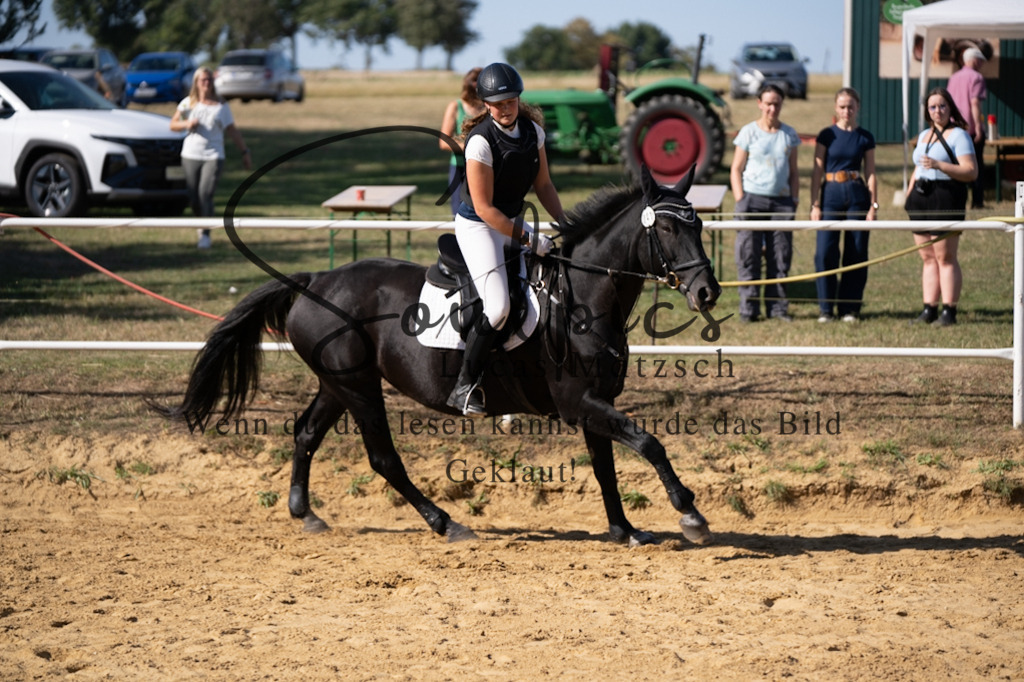 A7V02501 | Pferdefotograf