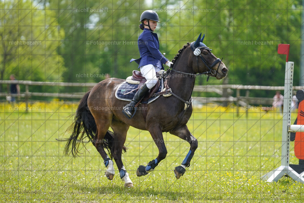 20230521-FAH06291 | Frühjahrsturnier, Landsberg am Lech, 2023, Reitclub Landsberg, Turnierbilder, Fotos Turnier Landsberg, Fotoagentur Herrmann, Turnierfotografen Bayern, Reitsport Fotograf, Pferde Fotograf