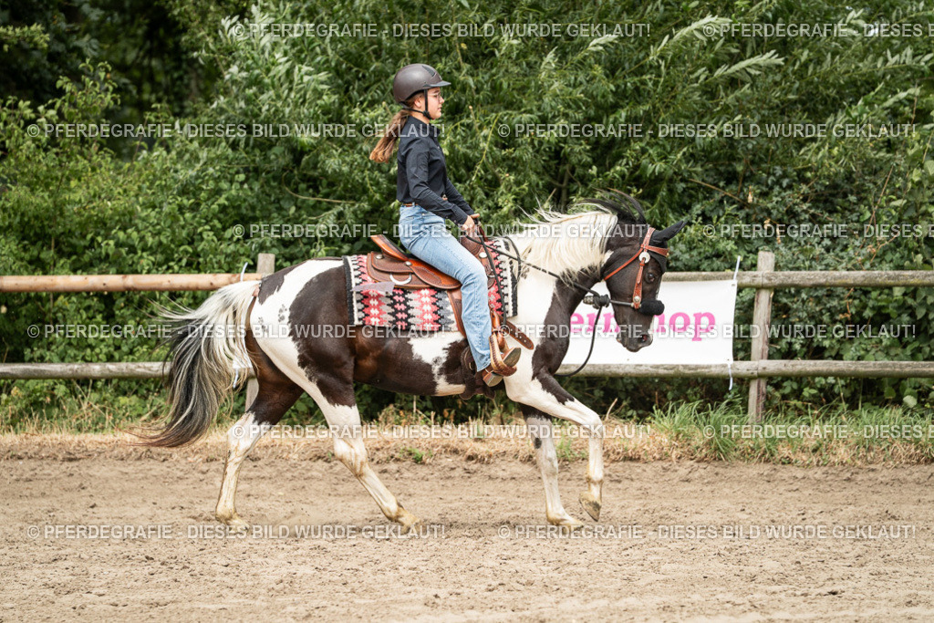 DSC01616 | Pferdegrafie