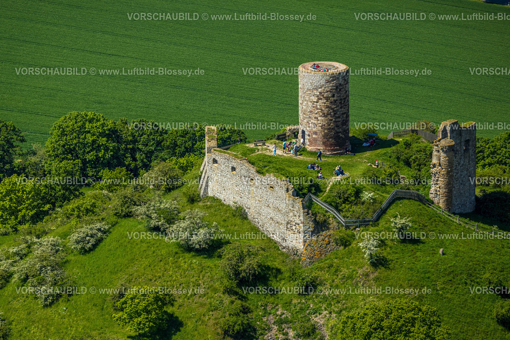 Warburg240505051BurgDesenberg | Luftbild, Burg Desenberg auf einem Vulkankegel, historische Sehenswürdigkeit, Ruine einer Höhenburg in der Warburger Börde, Besucher auf der Aussichtsplattform, Daseburg, Warburg, Ostwestfalen, Nordrhein-Westfalen, Deutschland