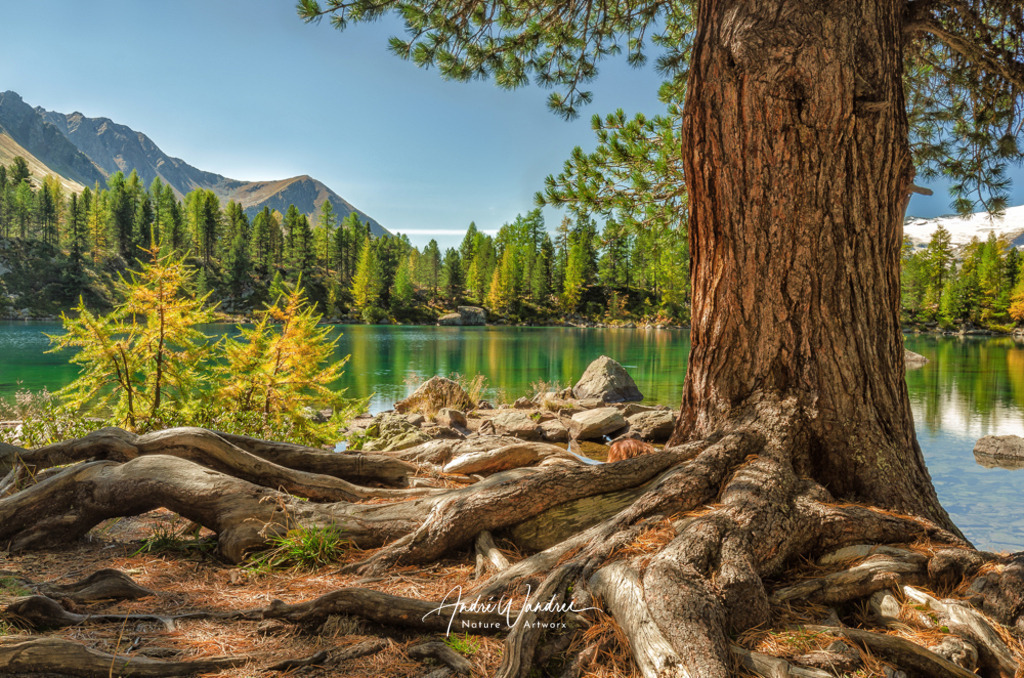 Der Herbst beginnt | Andre Wandrei - Nature Artworx - Realisiert mit Pictrs.com