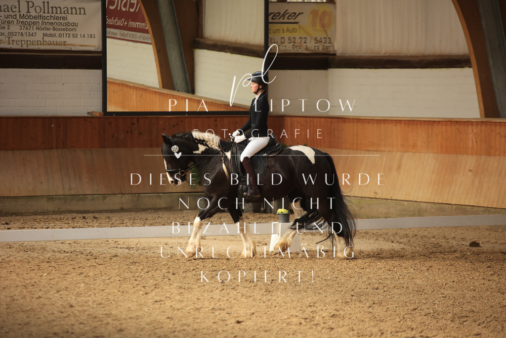 IMGT5738 | pl-fotografie