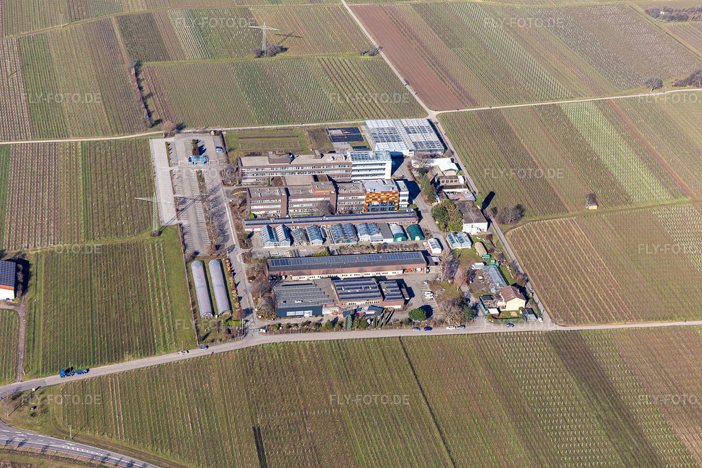 Luftbild: Dienstleistungzentrum ländl. Raum im Ortsteil Mußbach in Neustadt im Bundesland Rheinland-Pfalz in Deutschland. Foto: IMG_125353.jpg vom 21.02.2021 durch Werner Riehm/FLY-FOTO.de
