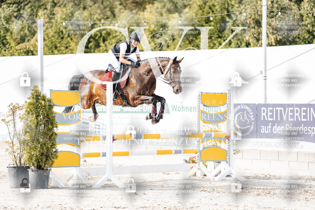 CK905814 | Turnierfotografie Pferdefotografie Trier Rheinland-Pfalz Pferdesport Reitsport Tierfotografie Sportfotografie Pferdevideo Pferdevideografie Equestrianvideography equestrianphotography  - Realisiert mit Pictrs.com