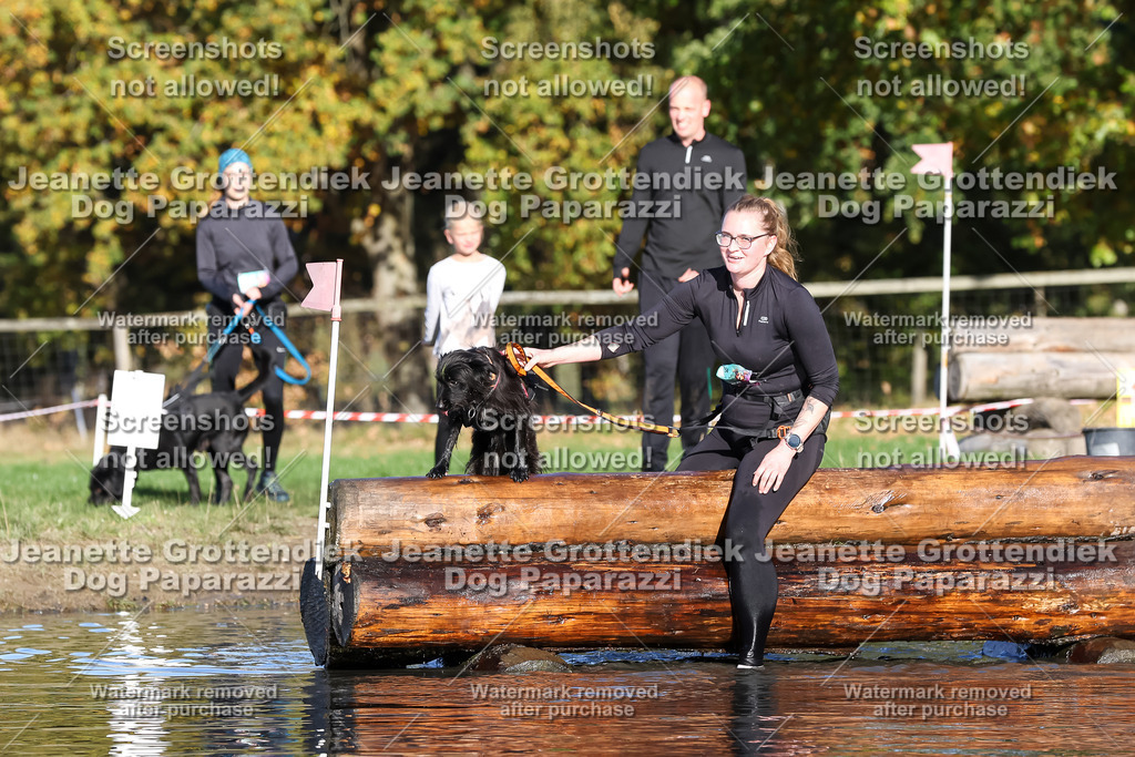 Dog Paparazzi - Strongdog 10-25-8693 | Dog Paparazzi Jeanette Grottendiek Fotografie & Videografie - Realisiert mit Pictrs.com