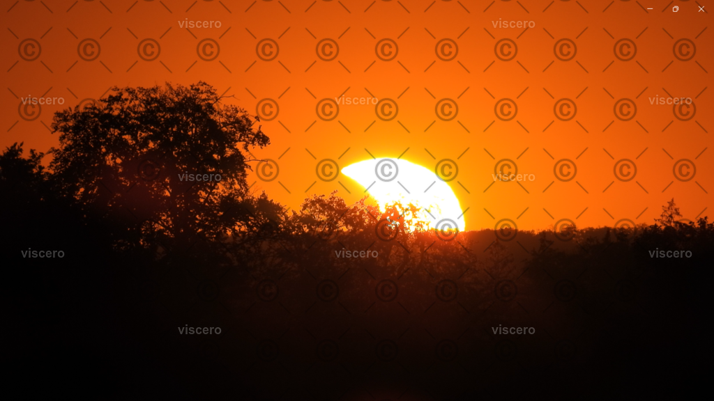 Screenshot 2026-08-13 235716 - Kopiert (2) | viscero