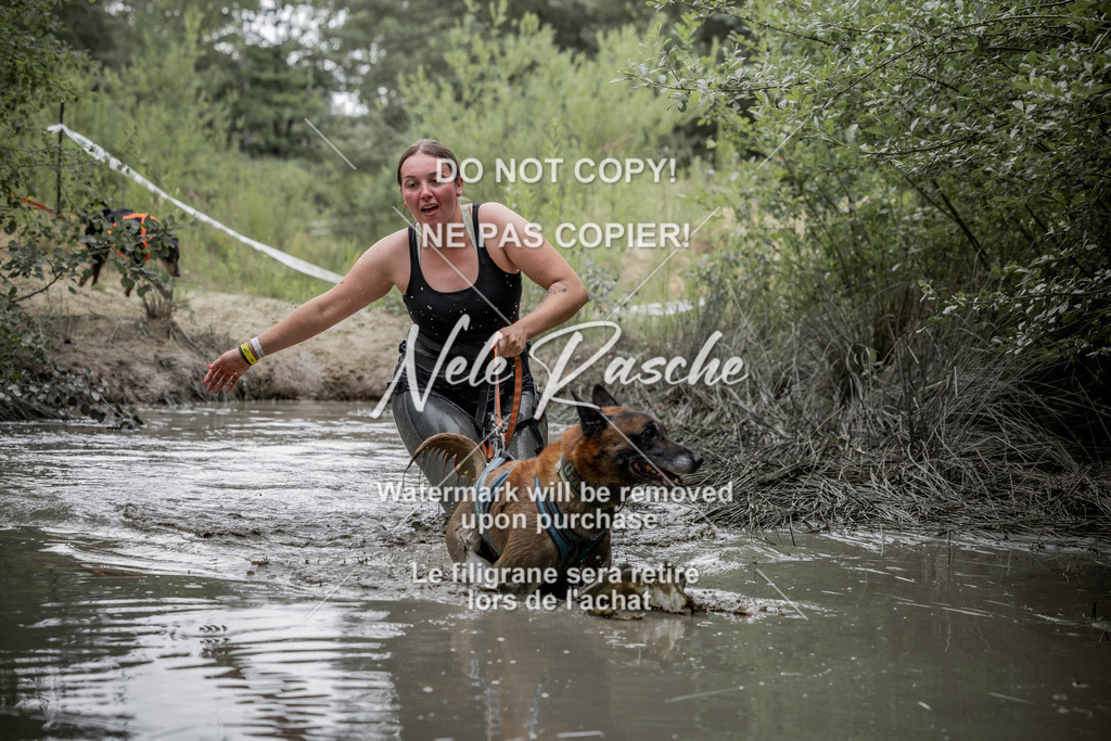 nelerasche_1400-1445_280 | nelerasche