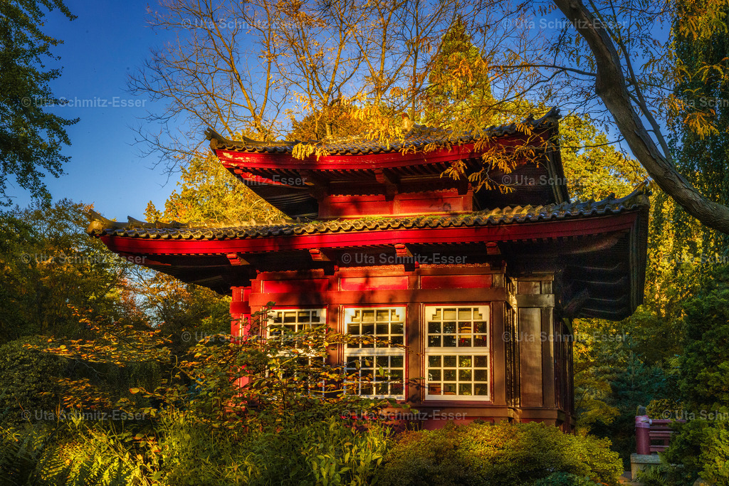 Leverkusen_japanischer-Garten_02 | CEUS Design - Realisiert mit Pictrs.com